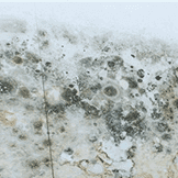 Waterproofing Membrane Suppliers