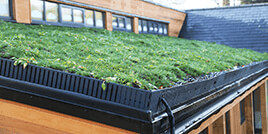 Terrace Garden
